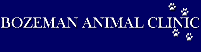 Bozeman Animal Clinic